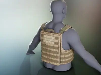 Crye Cage VEST Low-poly 3D model