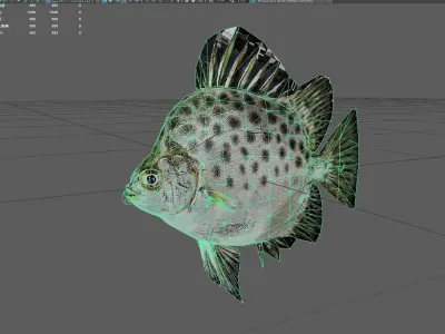 Spottedscat Low-poly 3D model