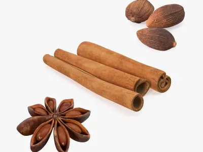 Spices Collection 3D model