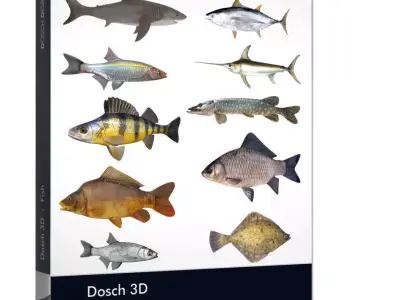 Dosch 3D - Fish 3D model
