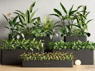 Home Green Plant Matching 3D model