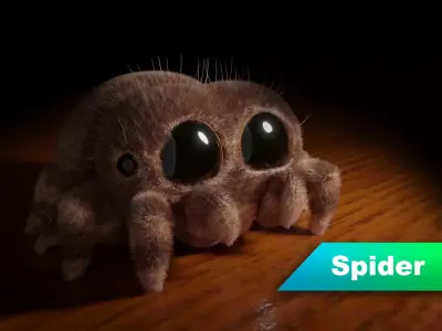 Stylized cute spider 3D model