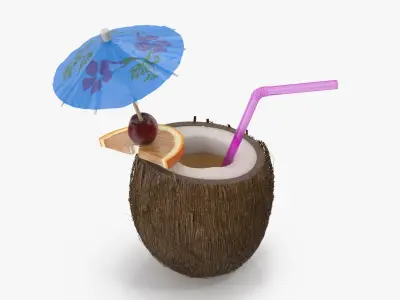 Tropical Drink 3D model