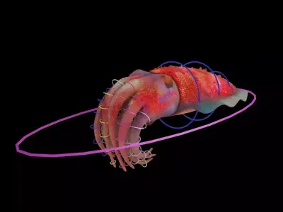 Cuttlefish Rigged Animated 3D model