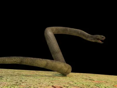 Giant Snake 3D model