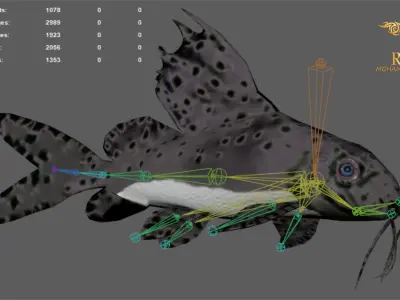 Animated Cat Fish - Loop Animation with 1160 Frames Low-poly 3D model