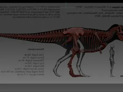 Dinosaur Tarbosaurus Bataar Full Set  3D model