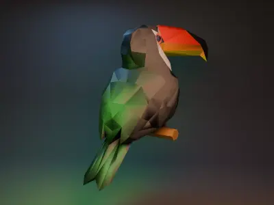 Stylized Toucan 3D Model Free low-poly 3D model
