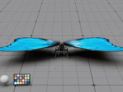 The Blue Morpho butterfly  3D model