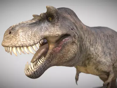 Tyrannosaurus rex Scotty Elder Low-poly 3D model