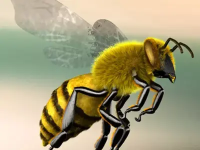 A lovely Bee 3D model