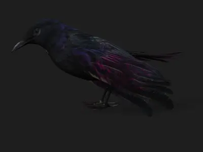 Raven A3 3D model