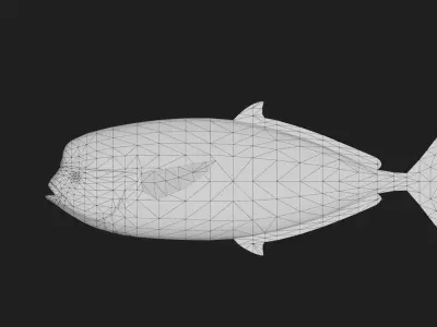 Louvar Low-poly 3D model