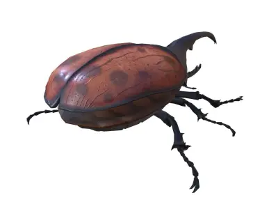 beetle dynastes Low-poly 3D model