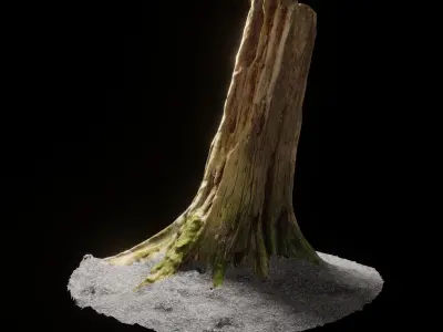 Forest Tree Stump 4K -Part11- Free low-poly 3D model