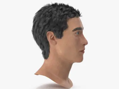 Male Head 3D model purchase