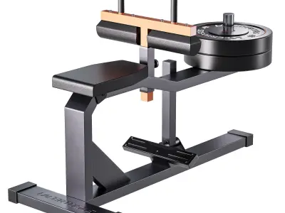 Seated Calf Machine Plate Loaded 3D model