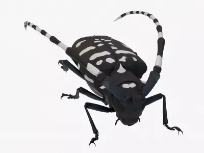 4K Longhorn Beetle Low-poly 3D model