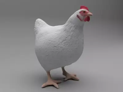 Chicken Low-poly 3D model