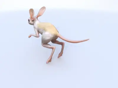 Jerboa 3D model