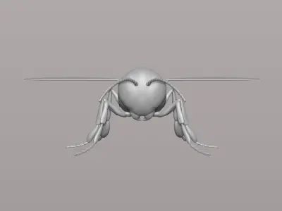 honey bee Free 3D print model