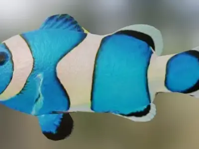 Blue Nemo Fish 3D model