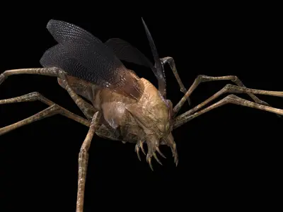 LandBug1 A1 Low-poly 3D model