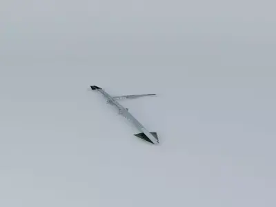 The Thunders Bridge Free 3D model