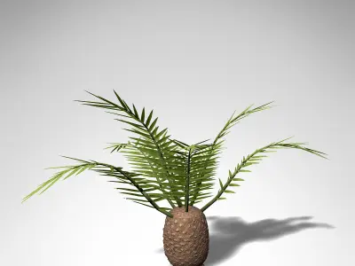 XfrogPlants Cycadeoidea Gigantea Free 3D model
