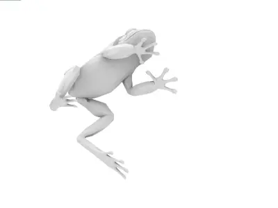 Frog Grenouille Crapaud 3D model