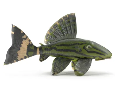 Catfish toy fish Low-poly 3D model