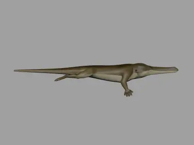 Remingtonocetus 3D model