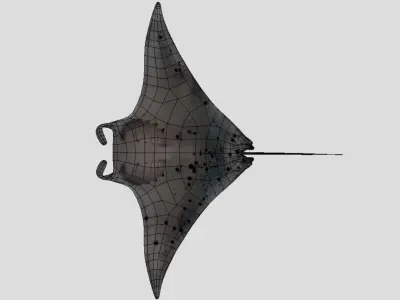 Manta Low-poly 3D model