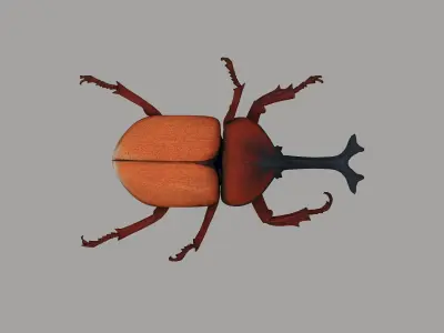 Vibrant beetle Low-poly 3D model