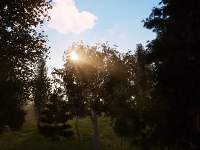 Very realistic 3d Trees collection for Twinmotion 2019 part 2 Low-poly 3D model