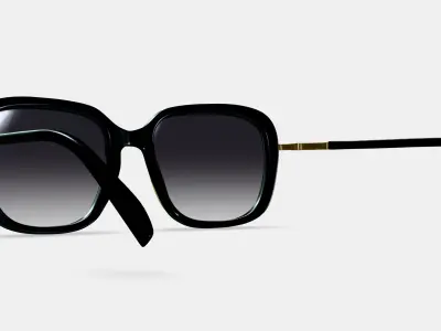 Safia Sunglasses in Jet Black with Polished Gold 3D model
