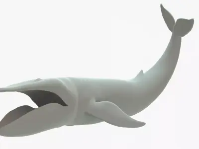 Blue Whale Rigged Basemesh Low-poly 3D model