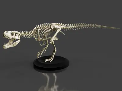 Realistic T-Rex Dinosaur Skeleton 3D model
