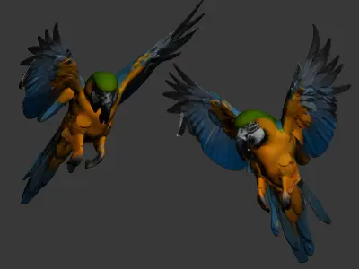 Parrot 3D model