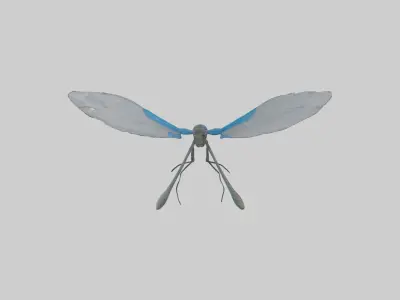 Damselfly landing model Low-poly 3D model
