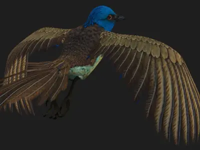 PheasantBird B1 3D model