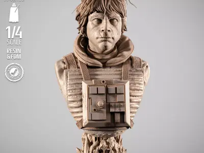 STAR WARS Luke Pilot Portrait Bust  3D print model purchase