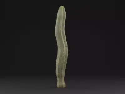 Cactus Plant Low-poly 3D model