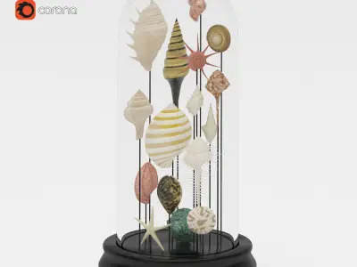 Seashell Decorative 3D model