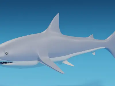 Cartoon Great White Shark 3D model