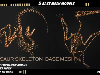 Dinosaur skeleton base mesh-vol 01 Low-poly 3D model