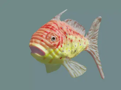 goldfish lowpoly fish Low-poly 3D model