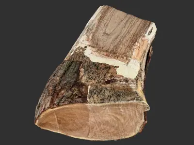 A peeling piece of wood 3d scan in highpoly 3D model