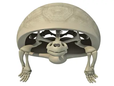 Turtle Skeleton with Cutaway Shell 3D model