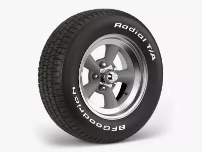 BFGoodrich Torq Thurst Combo 3D model